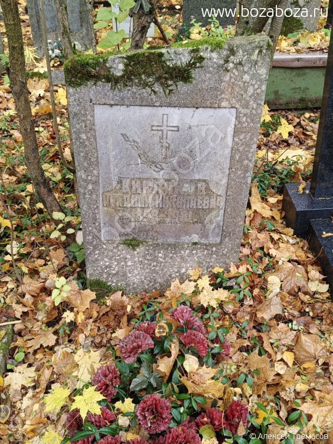 �������� ������� ����������