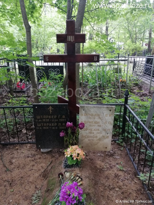 ������ ������� ����������