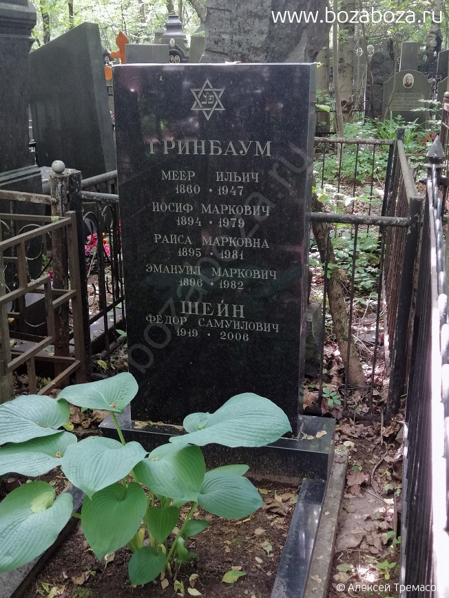 ���� Ը��� ����������