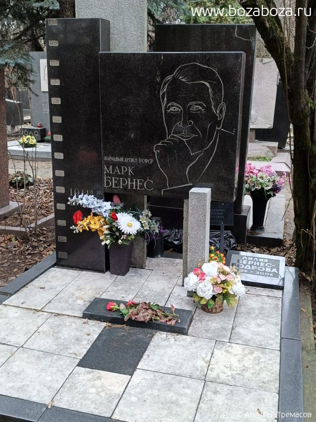 ������ ���� ��������