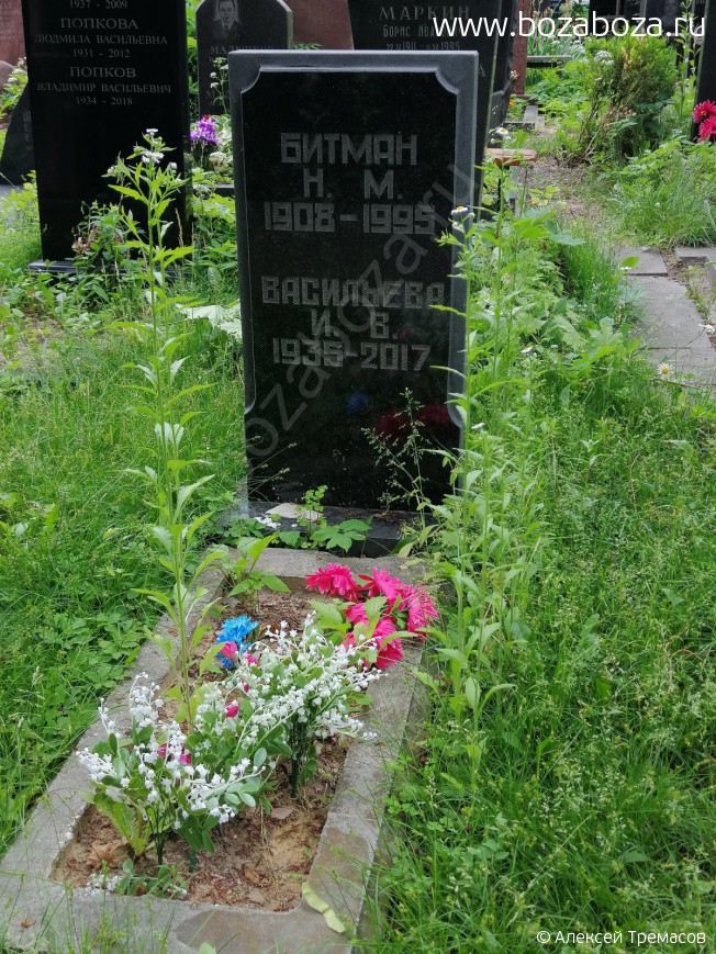 ������ ����� ����������