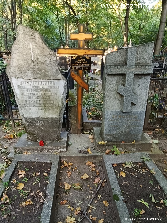 ���� ������� �������������