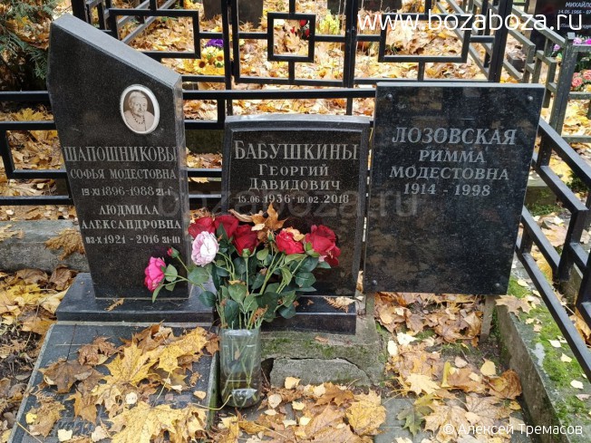 �������� ������� ���������