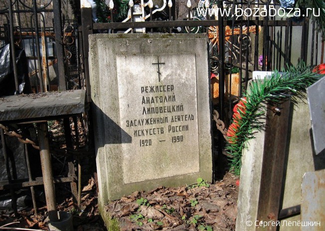 ���������� �������� ���������