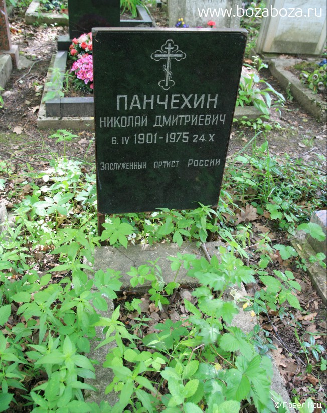 Панчехин Николай Дмитриевич