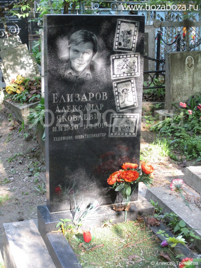 Елизаров Александр Яковлевич