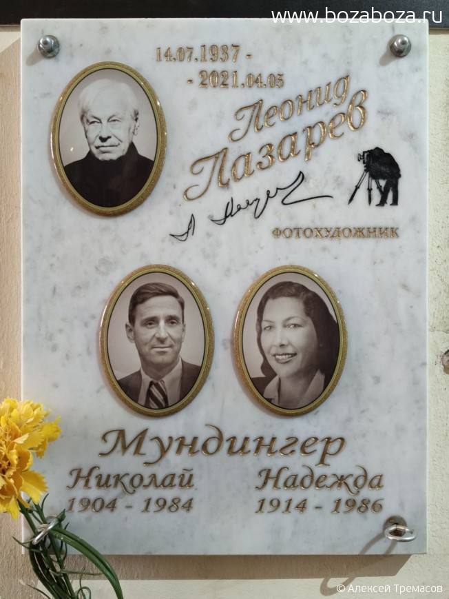   Ը