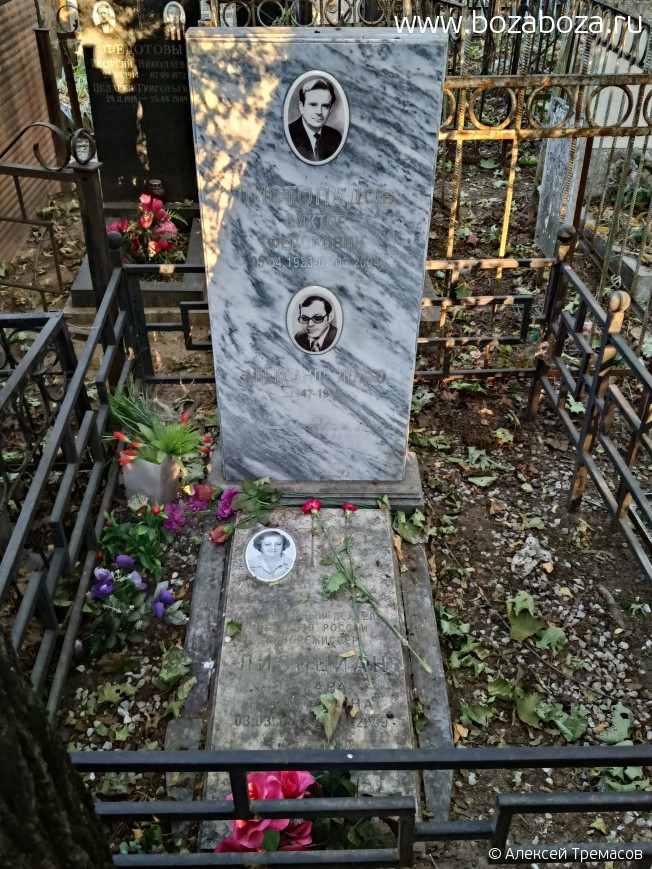   Ը