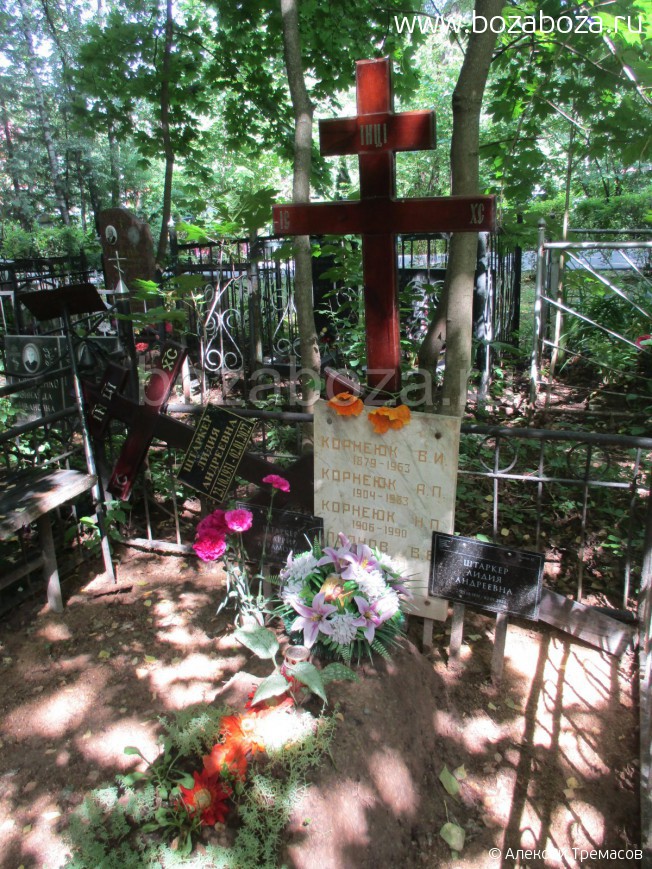 ������ ������� ����������