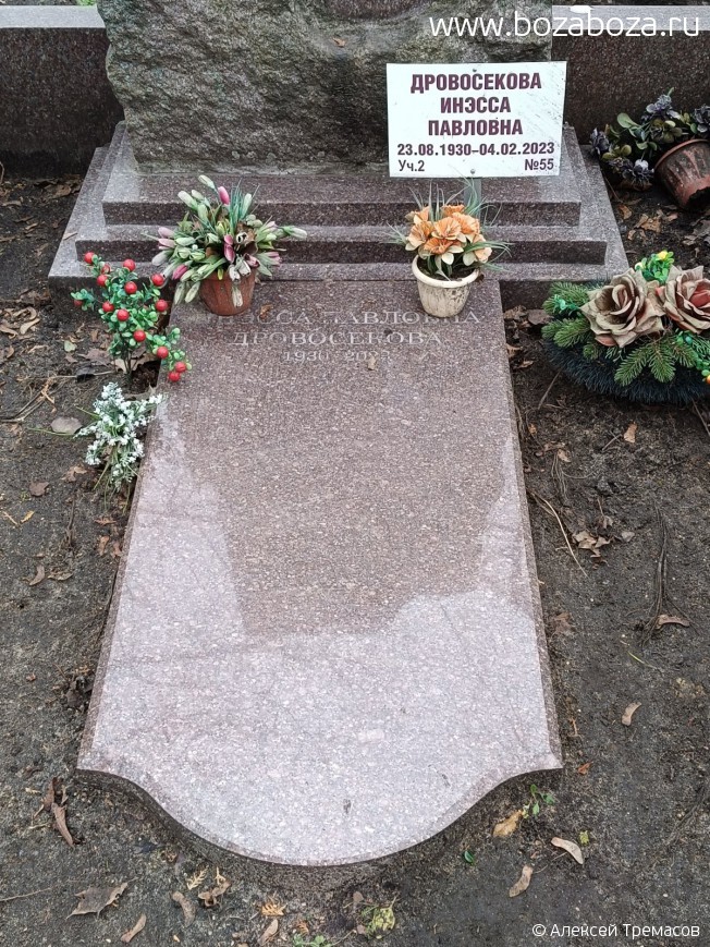 ����������� ������ ��������