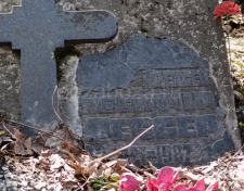 ������ ������� �������������