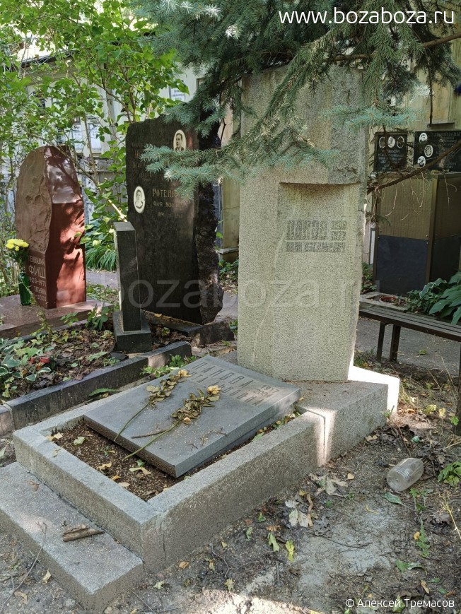 ����� ���� ����������