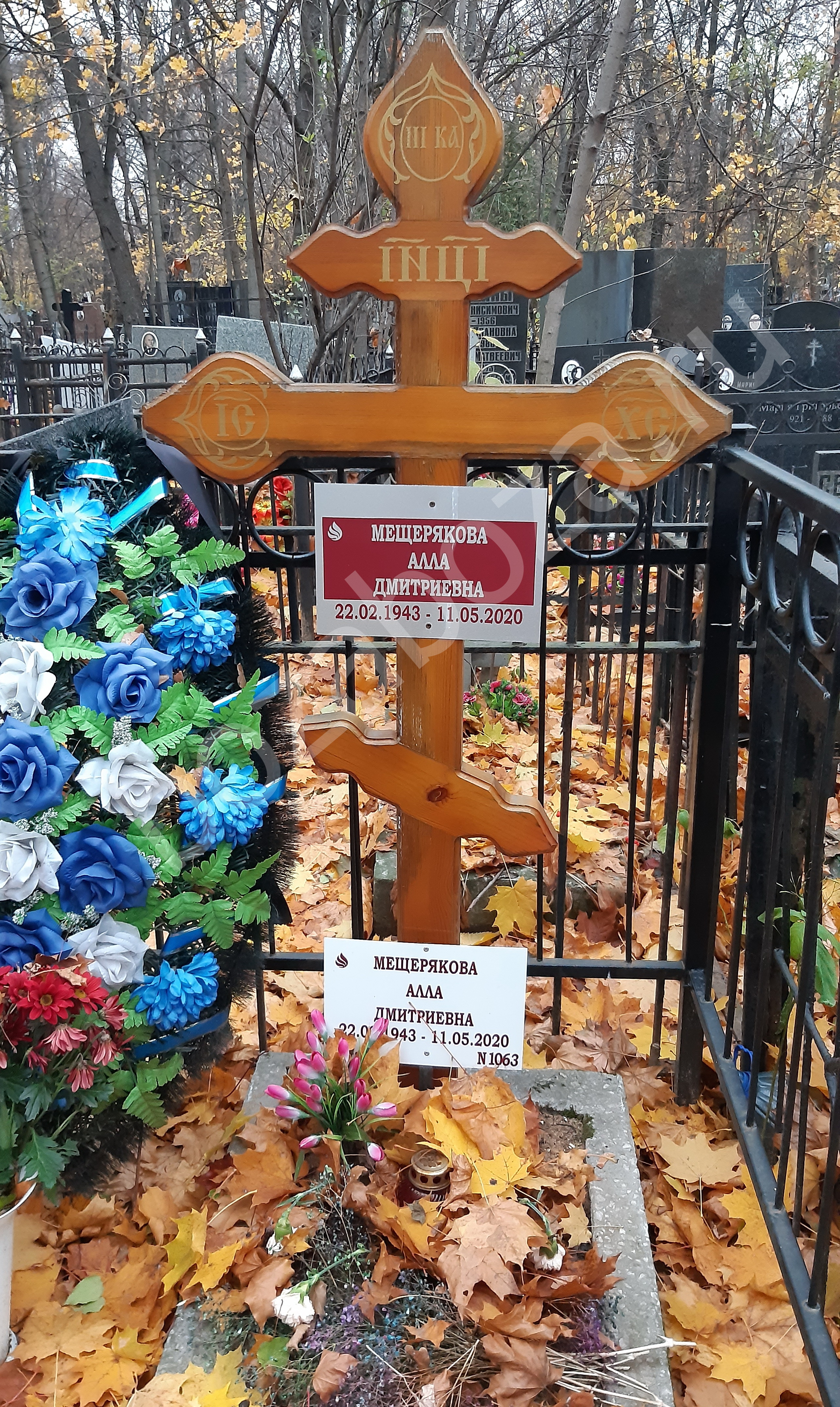 Алла Мещерякова Фото