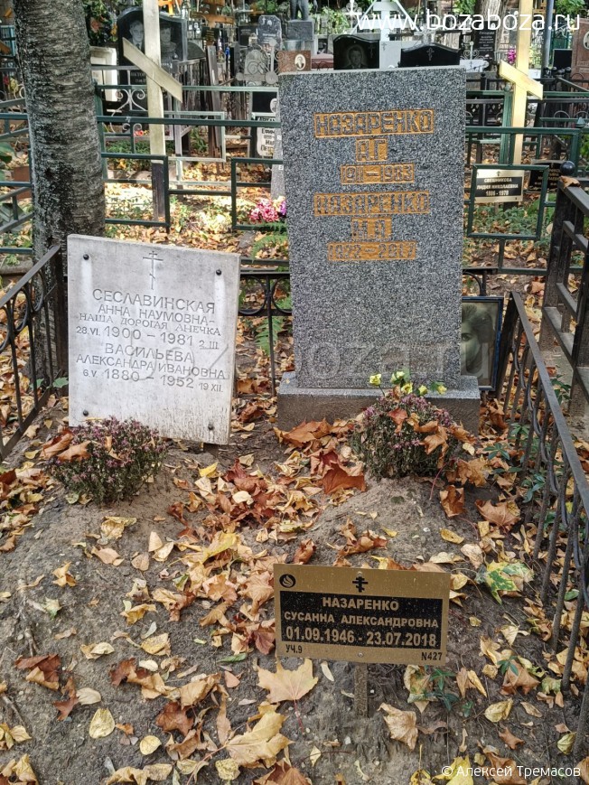 ��������� ������ �������������