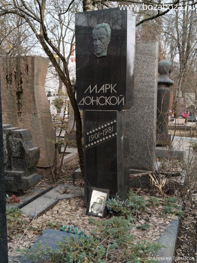 ������� ���� ��������