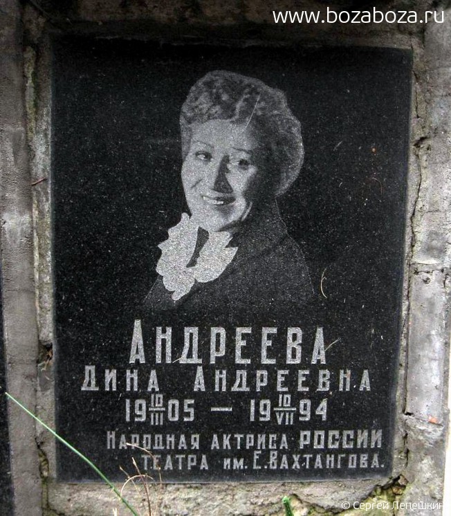 Андреева Дина Андреевна