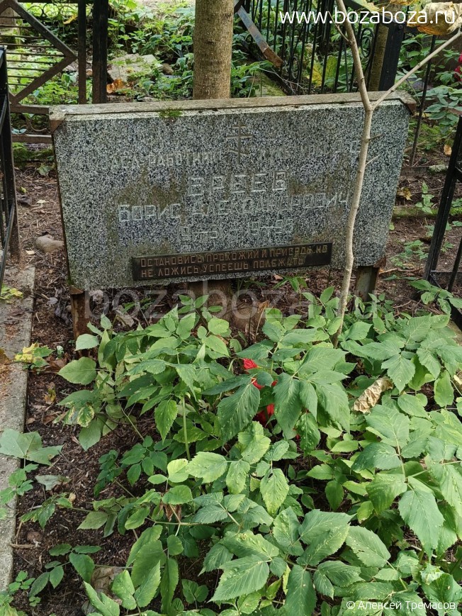 ����� ����� �������������