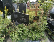 �������� ������ �����������