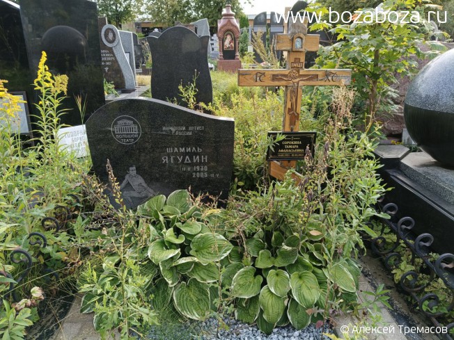 �������� ������ �����������