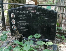 ������� ϸ�� ����������