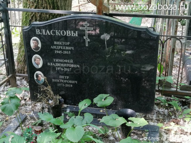 ������� ϸ�� ����������