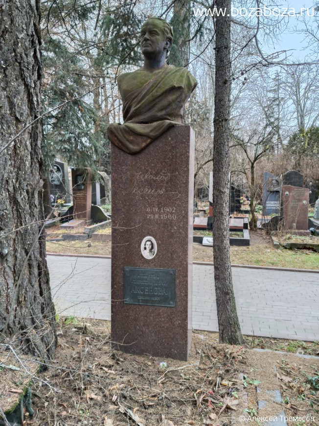 ���� (�������) ������� �������������