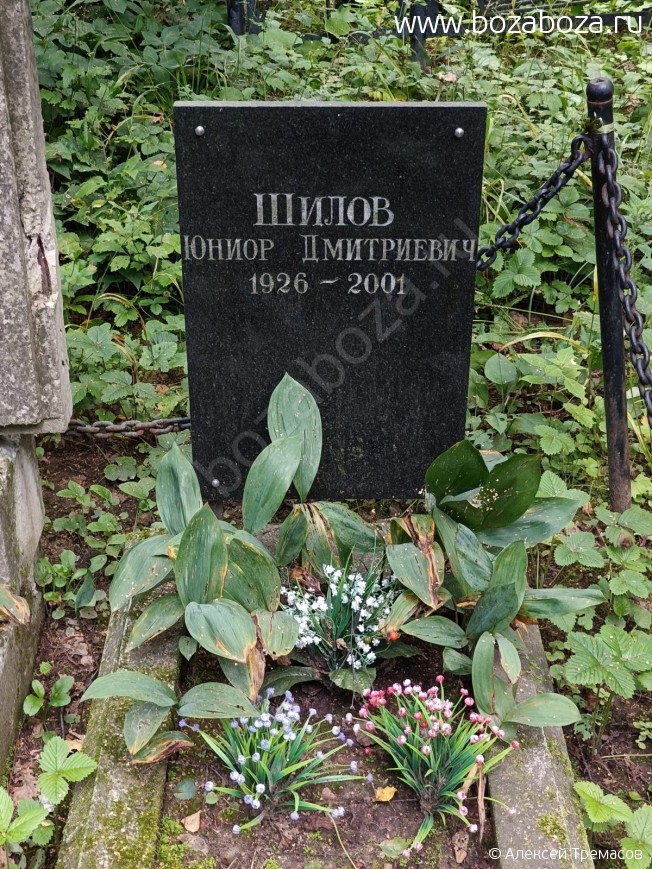 ����� ����� ����������