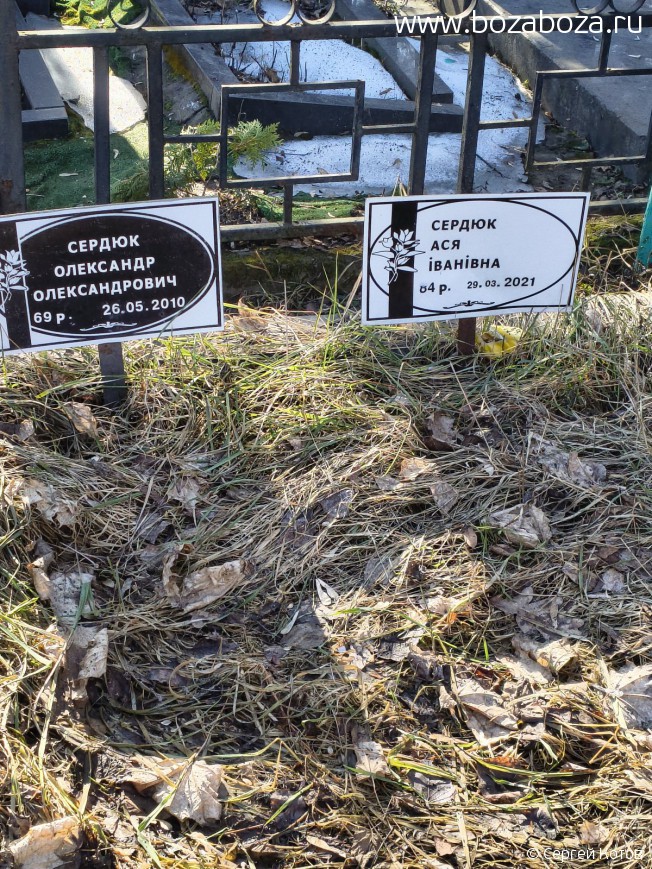 ������ ��������� (����) �������������