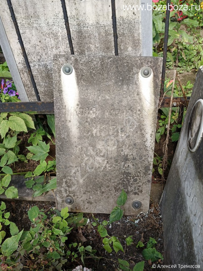 ����� ������� ��������